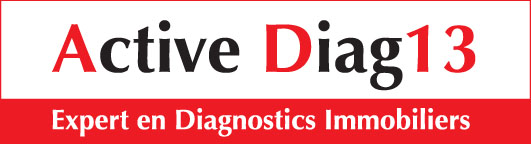 Logo Active Diag 13