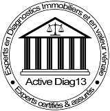 Active Diag 13
